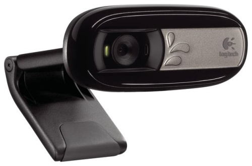 Интернет-камера Logitech WebCam C170 NEW 960-001066 фото 2