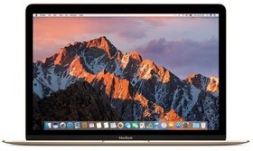  Apple MacBook 12.0 Retina MNYL2RU/A