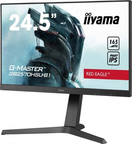 Монитор Iiyama GB2570HSU-B1 Black фото 3