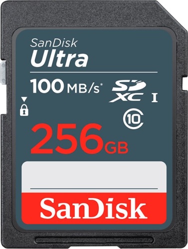 Карта памяти SDXC SanDisk 256Gb SDSDUNR-256G-GN3IN Ultra