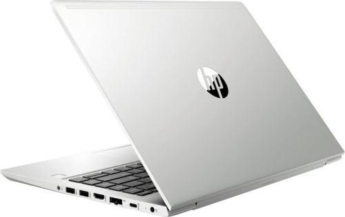 Ноутбук Hewlett Packard ProBook 445 G7 1F3K6EA фото 4