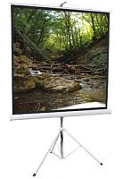 Экран проекционный ScreenMedia Apollo 244*183 MW SAM-4304