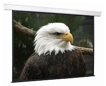 Экран проекционный ScreenMedia Champion формат 213*213 MW SCM-1105