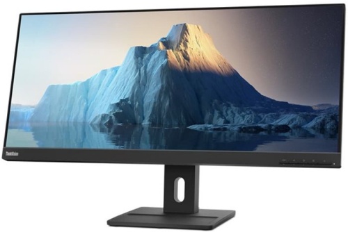 Монитор Lenovo ThinkVision E29w-20 (62CEGAT3EU)