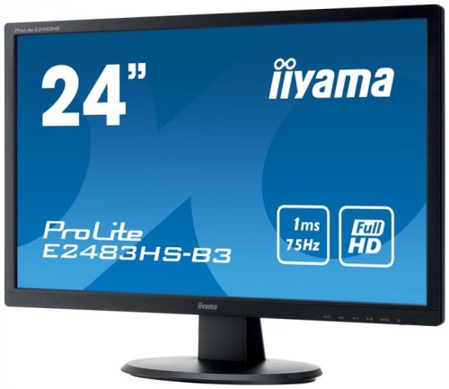 Монитор Iiyama ProLite E2483HS-B3 фото 3