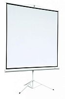 Экран проекционный Digis Kontur-A DSKA-4305