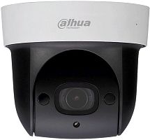 IP-видеокамера DAHUA DH-SD29204UE-GN-W