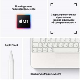  Apple iPad Pro 2021 11 1Tb Wi-Fi Space Grey (MHQY3RU/A)
