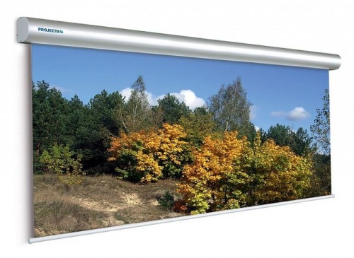 Экран с электроприводом Projecta Master Electrol 400х500см (252 ) Matte White 10130240R