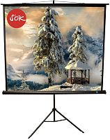 Экран проекционный Sakura Cinema S OK SCPST-200x200BLCK