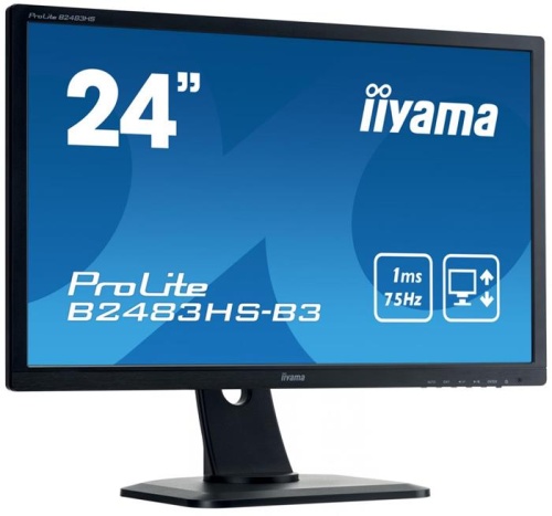 Монитор Iiyama ProLite B2483HS-B3 фото 4