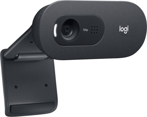 Интернет-камера Logitech Webcam C505e Black 960-001372 фото 3