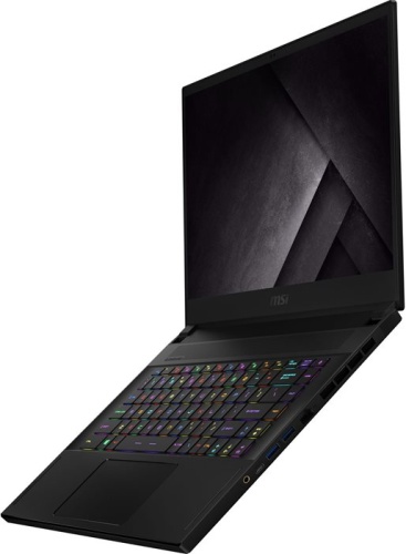 Ноутбук MSI GS66 Stealth 10SFS-405RU 9S7-16V112-405 фото 8