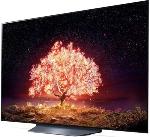 Телевизор ЖК LG OLED55B1RLA серебристый фото 2