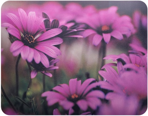 Коврик Buro BU-M20045 Мини рисунок/цветы Коврик Buro BU-M20045 Мини рисунок/цветы