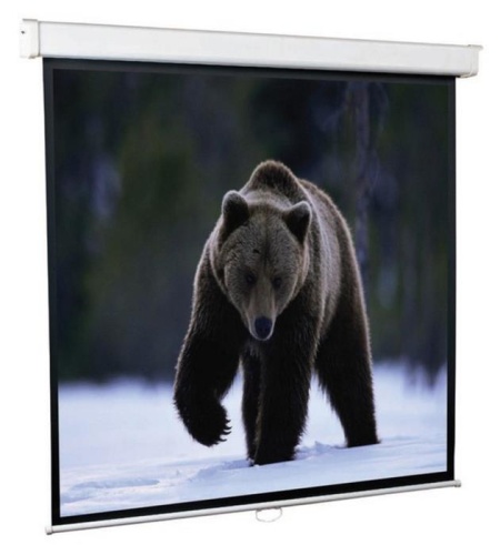 Экран проекционный ScreenMedia Economy 127*127 MW SEM-1101
