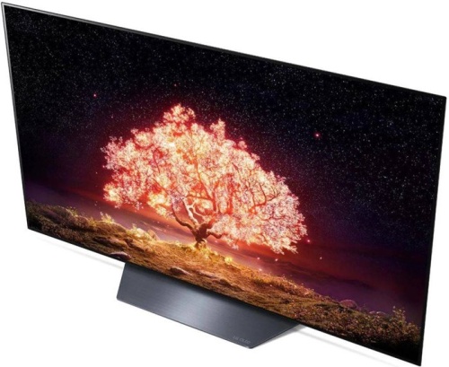 Телевизор ЖК LG OLED55B1RLA серебристый фото 4