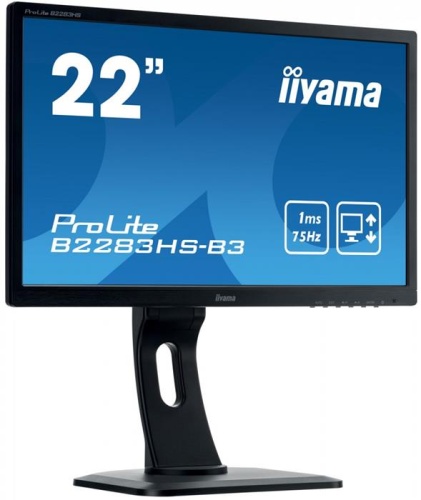 Монитор Iiyama PROLITE B2283HS-B3 фото 4