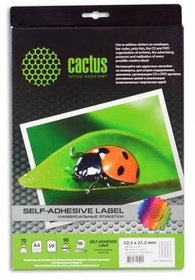  Cactus -30525212