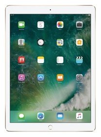  Apple 256GB iPad Pro Wi-Fi Gold MP6J2RU/A