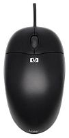Мышь Hewlett Packard USB Optical Scroll Mouse (QY777AA)