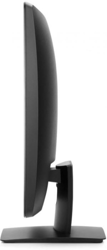 Монитор Hewlett Packard ProDisplay P232 K7X31AA фото 4