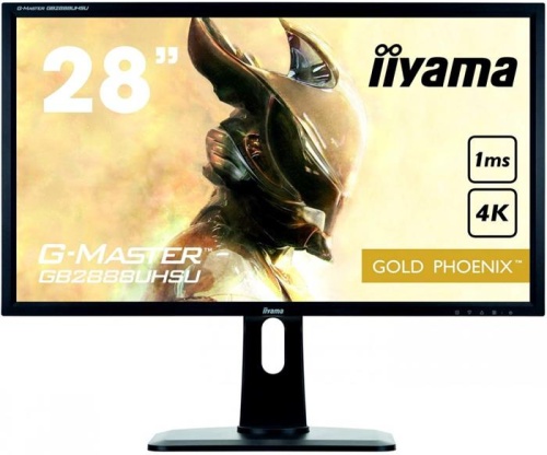 Монитор Iiyama ProLite B2875UHSU-B1 черный