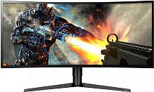 Монитор LG Gaming 34GK950G-B