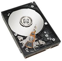 Опция для хранилища данных IBM 2TB 7.2K hot plug 3.5 6Gb NL-SAS HDD 49Y1871