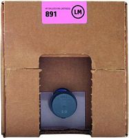 Оригинальный струйный картридж Hewlett Packard 891 G0Y77A