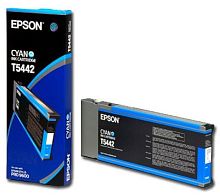 Оригинальный струйный картридж Epson T544200 C13T544200