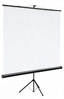 Экран проекционный Digis Kontur-C DSKC-1103