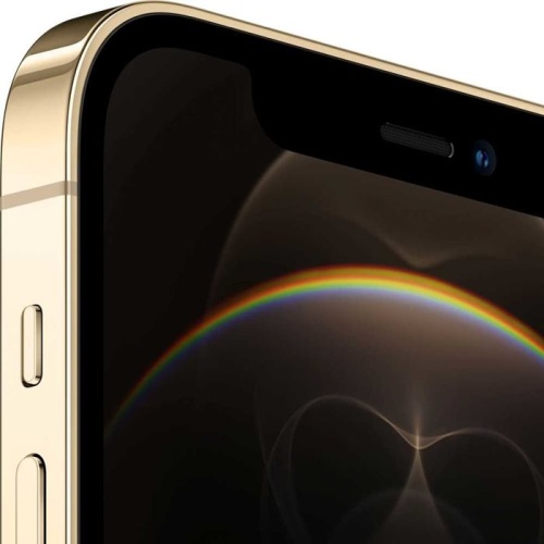 Смартфон Apple iPhone 12 Pro 512Gb Gold (MGMW3RU/A) фото 2