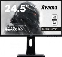 Монитор Iiyama G-Master GB2530HSU-B1