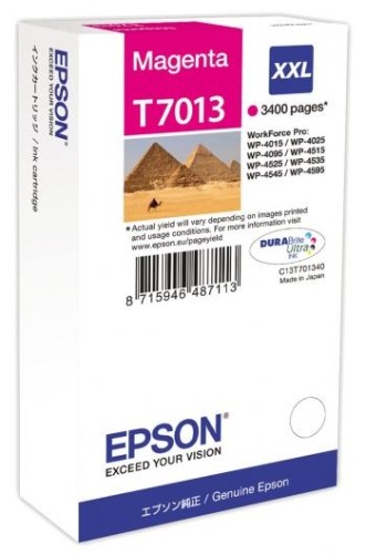 Оригинальный струйный картридж Epson T70134010 C13T70134010