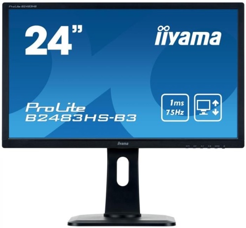 Монитор Iiyama ProLite B2483HS-B3 фото 2