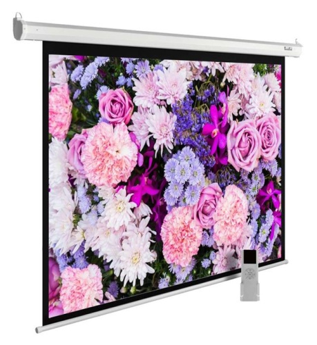 Экран с электроприводом Cactus MotoExpert CS-PSME-420X315-WT белый Экран с электроприводом Cactus MotoExpert CS-PSME-420X315-WT белый