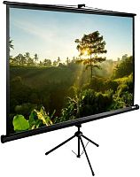 Экран проекционный Cactus TriExpert CS-PSTE-200х200-BK CS-PSTE-200Х200-BK