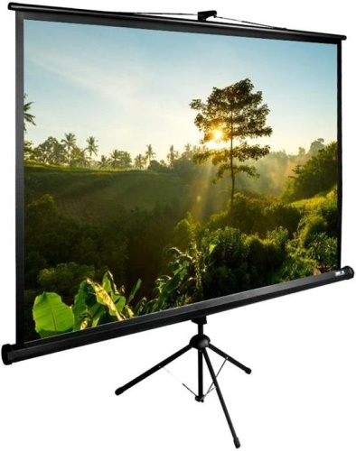 Экран проекционный Cactus TriExpert CS-PSTE-200х200-BK CS-PSTE-200Х200-BK Экран проекционный Cactus TriExpert CS-PSTE-200х200-BK CS-PSTE-200Х200-BK