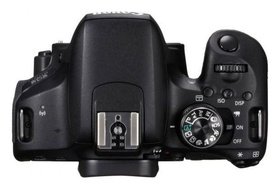   Canon EOS 800D  1895C031
