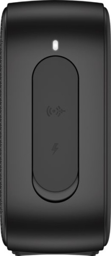 Портативная акустика Hewlett Packard Bluetooth Speaker 350 Black (2D802AA) фото 6