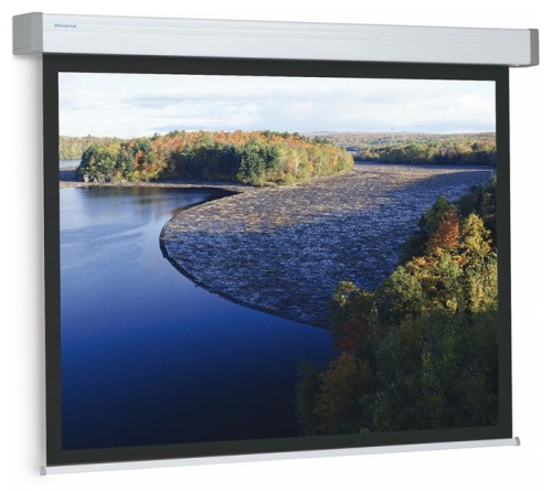 Экран с электроприводом Projecta Elpro Electrol 173x300 cm (131 ) High Contrast 10191910