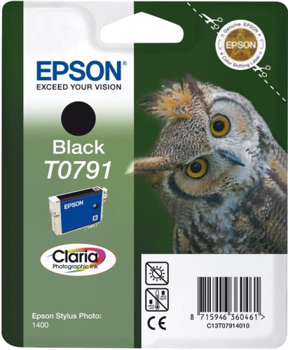 Оригинальный струйный картридж Epson T0791 C13T07914010 черный