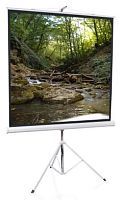 Экран проекционный ScreenMedia 171*128 MW SAM-4302