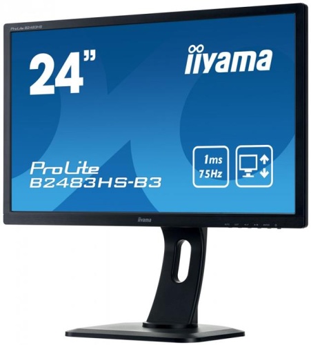 Монитор Iiyama ProLite B2483HS-B3 фото 5