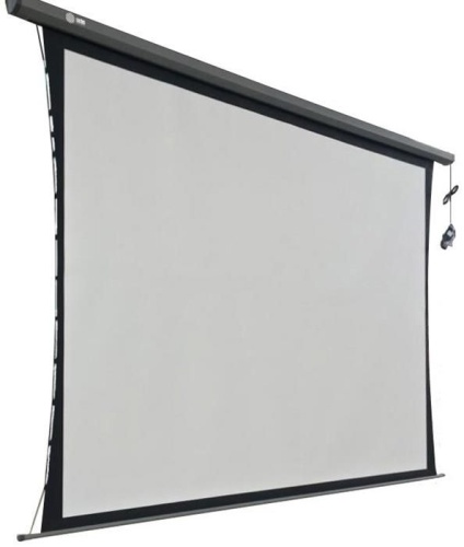 Экран проекционный Cactus Professional Tension Motoscreen CS-PSPMT-206x274 CS-PSPMT-206X274 Экран проекционный Cactus Professional Tension Motoscreen CS-PSPMT-206x274 CS-PSPMT-206X274