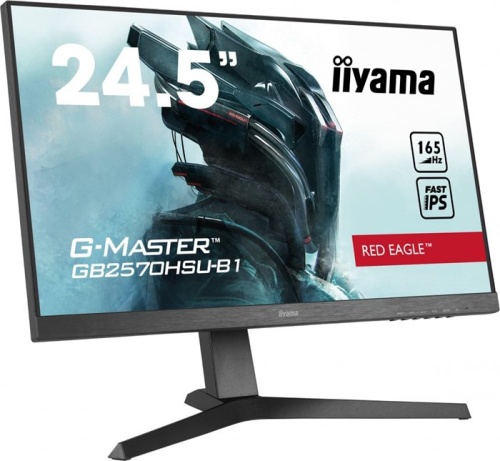 Монитор Iiyama GB2570HSU-B1 Black фото 2