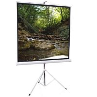 Экран проекционный ScreenMedia Apollo SAM-1105