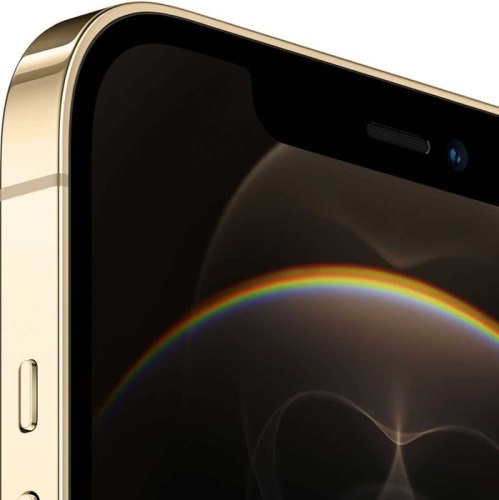 Смартфон Apple iPhone 12 Pro Max 512Gb Gold (MGDK3RU/A) фото 2