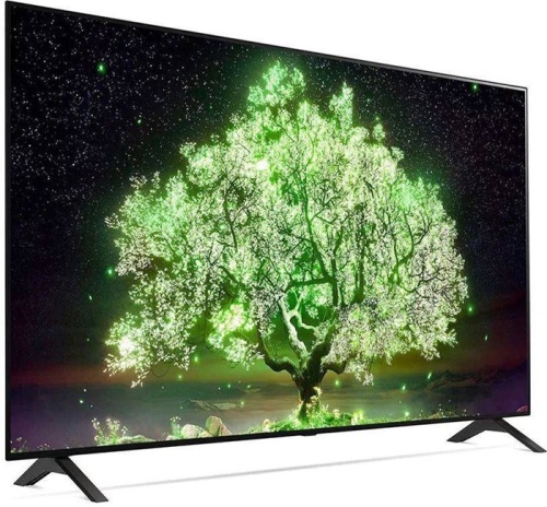 Телевизор ЖК LG OLED48A1RLA темно-серый фото 2